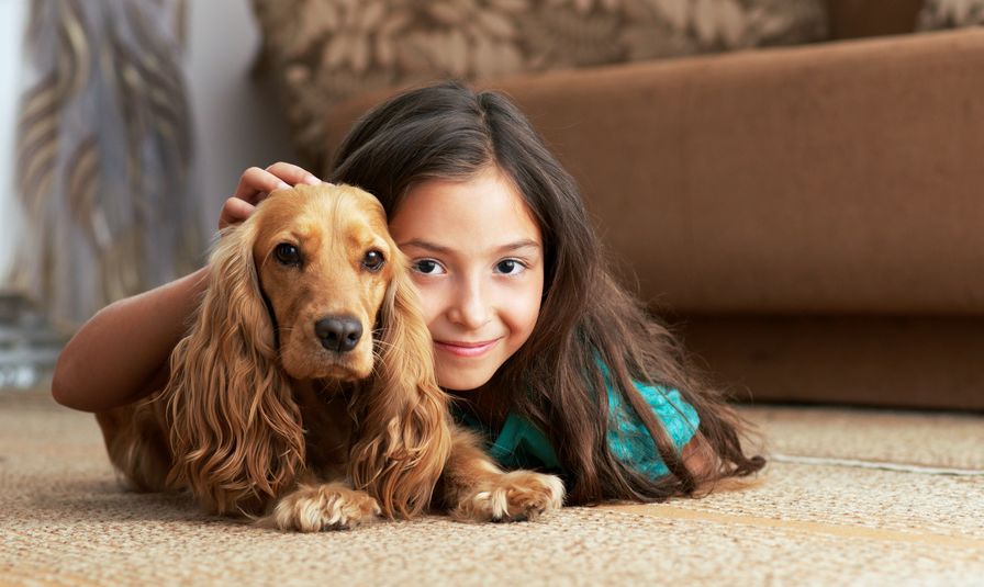 Comment se débarrasser des puces sur votre chien ?